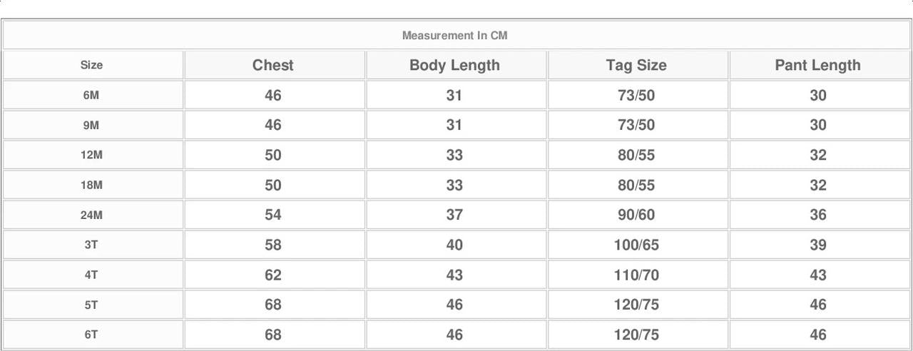 Dino Shorts and T-shirt Set